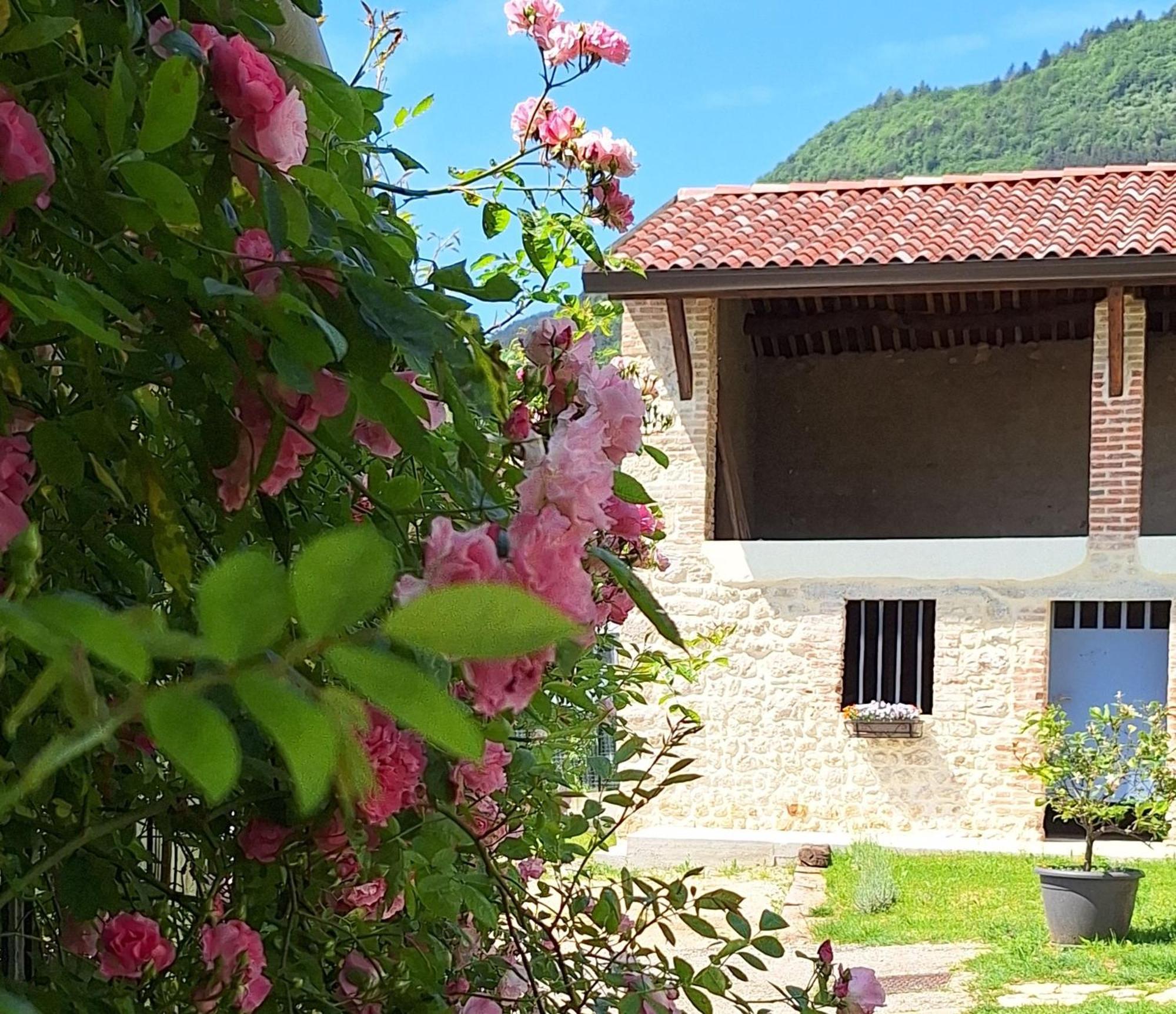 Casa Paola Leilighet Borso del Grappa Eksteriør bilde